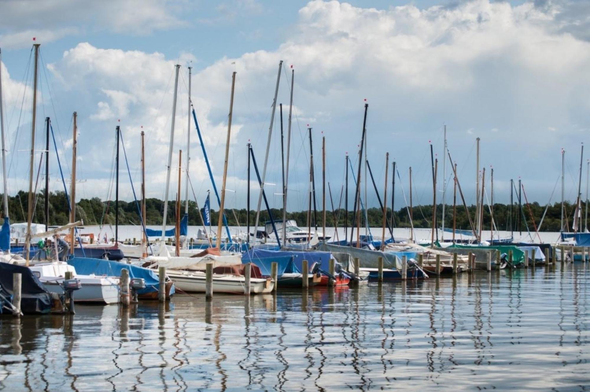 Kleine Nordseewelle Ohne Hund Norden Extérieur photo